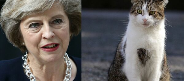Theresa May and Larry the Cat Theresa May and Larry the Cat - Sputnik International