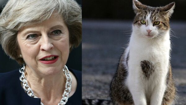 Theresa May and Larry the Cat - Sputnik International