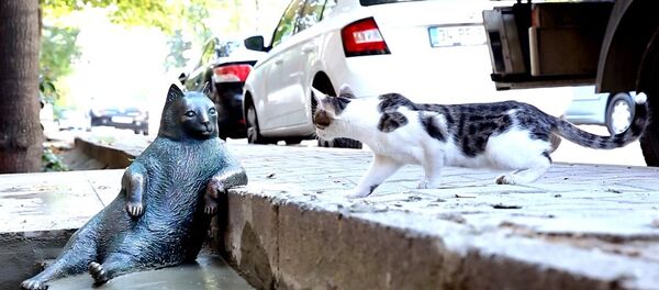 Kedi Tombili’nin heykeli açıldı Kedi Tombili’nin heykeli açıldı - Sputnik International