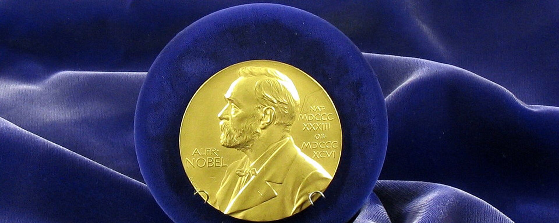  Nobel Prize medal - Sputnik International, 1920, 24.11.2020