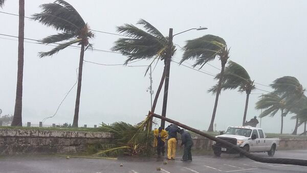 Maintainance workers try to remove a tree from a road in Nassau, New Providence island in the Bahamas, on October 6, 2016, after the passing of Hurricane Matthew - Sputnik International