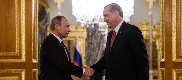 Russian President Vladimir Putin (L) shakes hand with Turkish President Recep Tayyip Erdogan (R) during a press conference on October 10, 2016 in Istanbul - Sputnik International