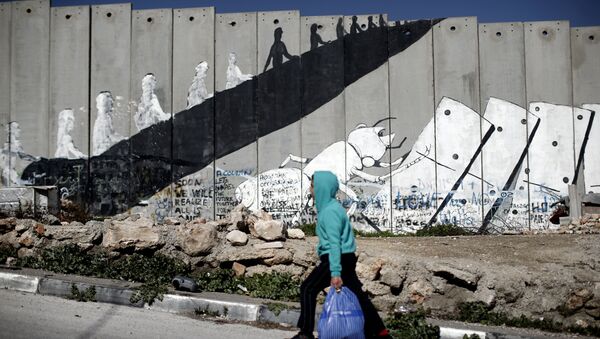 A Palestinian boy walks past graffiti painted on Israel's controversial separation barrier in the Aida refugee camp situated inside the West Bank town of Bethlehem, on February 12, 2016. - Sputnik International