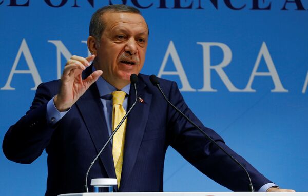 Turkish President Tayyip Erdogan addresses the audience during a meeting in Ankara, Turkey, October 3, 2016. Picture taken October 3, 2016. Turkish President Tayyip Erdogan addresses the audience during a meeting in Ankara, Turkey, October 3, 2016. Picture taken October 3, 2016. - Sputnik International