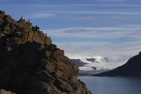 Hooker Island, Franz Josef Land, Russia Hooker Island, Franz Josef Land, Russia - Sputnik International