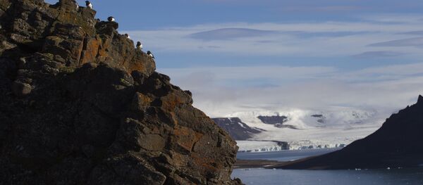 Hooker Island, Franz Josef Land, Russia - Sputnik International