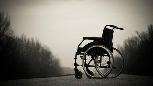 Wheelchair - Sputnik International