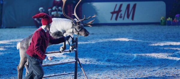 Ulrika Andreasson - Sputnik International