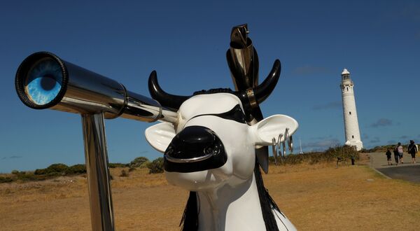 In this photo taken on March 28, 2012, Moorine Marauder a life-sized fibre glass cow, welcomes visitors to the grounds surrounding the Cape Leeuwin Lighthouse (R) in the south-west region of Western Australia. - Sputnik International