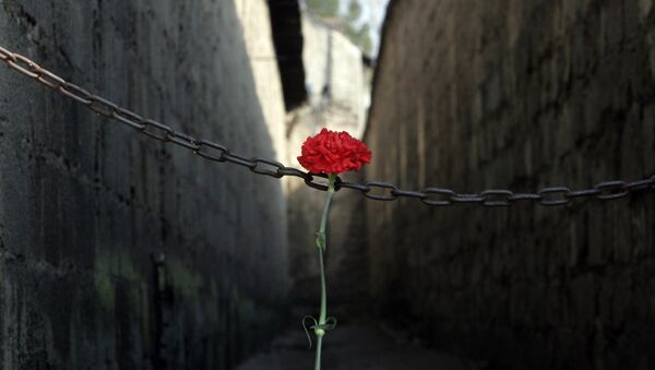 A red carnation sits at the entrance of the corridor where prisoners were once shot, prior to the commemoration ceremony on the occasion of the 60th anniversary of the liberation of the Nazi women's concentration camp of Ravensbrueck in Fuerstenberg, north of Berlin, eastern Germany. (File) - Sputnik International