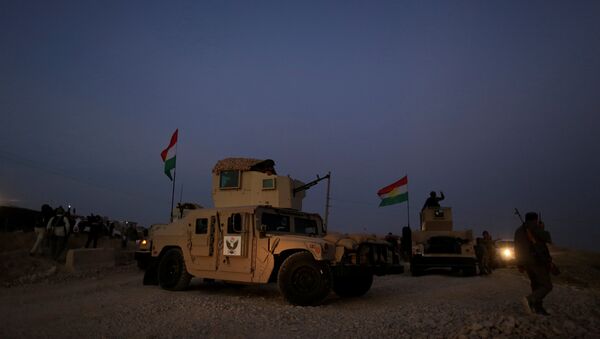 A kurdish peshmerga fighter look over as he stands on the top of the humvee in front of Islamic State position outside the town of Naweran near in Mosul, Iraq - Sputnik International