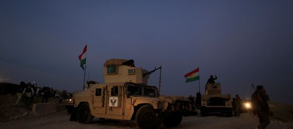 A kurdish peshmerga fighter look over as he stands on the top of the humvee in front of Islamic State position outside the town of Naweran near in Mosul, Iraq - Sputnik International