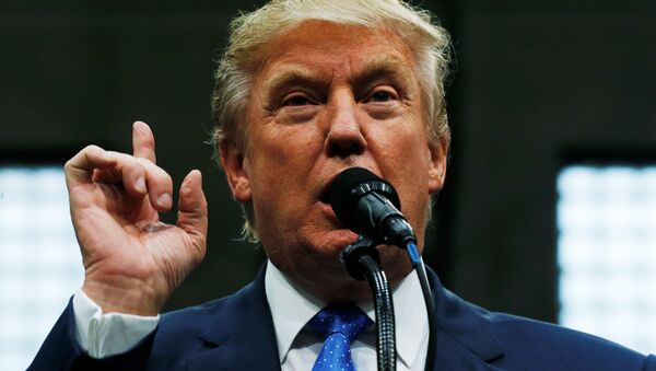 Republican U.S. presidential nominee Donald Trump holds a campaign rally in Johnstown, Pennsylvania, U.S - Sputnik International