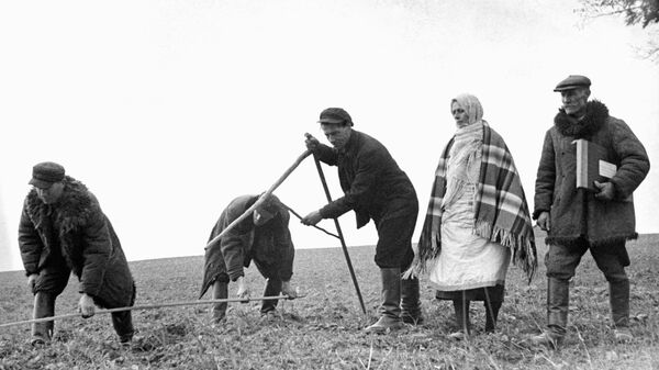 Peasants of the village Sobolevo divide land taken from Prince Ljubomirsky, a wealthy Polish landlord, October 1939, in Soviet territory formerly belonging to interwar Poland. - Sputnik International