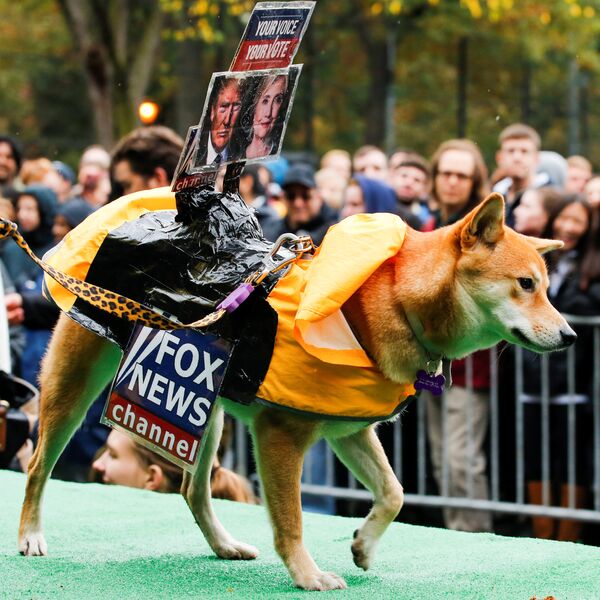 A dog dressed as Fox News channel with the pictures of Democratic U.S. presidential nominee Hillary Clinton (R) and Republican U.S. presidential nominee Donald Trump takes part in the annual halloween dog parade at Manhattan's Tompkins Square Park in New York, U.S. October 22, 2016 - Sputnik International