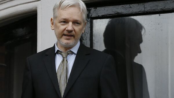 Wikileaks founder Julian Assange speaks from the balcony of the Ecuadorean Embassy in London (File) - Sputnik International