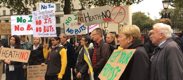 Protest in London against the decision to expand Heathrow airport Protest in London against the decision to expand Heathrow airport - Sputnik International