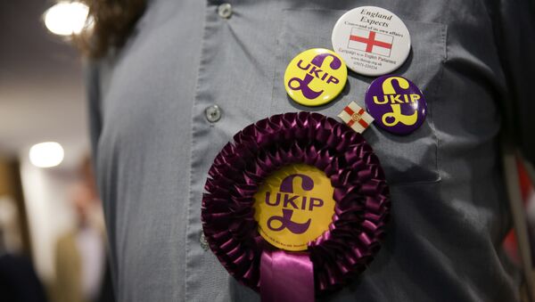 A supporter of the anti-EU UK Independence Party (UKIP) wears a rossette and badges at the UKIP Autumn Conference in Bournemouth, on the southern coast of England, on September 16, 2016.  - Sputnik International