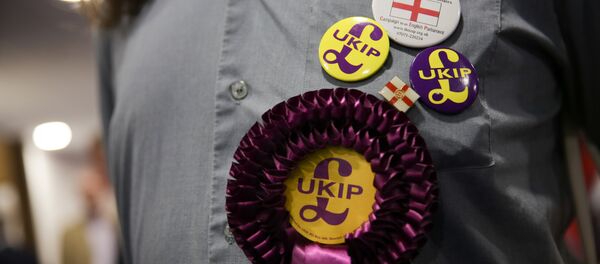 A supporter of the anti-EU UK Independence Party (UKIP) wears a rossette and badges at the UKIP Autumn Conference in Bournemouth, on the southern coast of England, on September 16, 2016. A supporter of the anti-EU UK Independence Party (UKIP) wears a rossette and badges at the UKIP Autumn Conference in Bournemouth, on the southern coast of England, on September 16, 2016. - Sputnik International