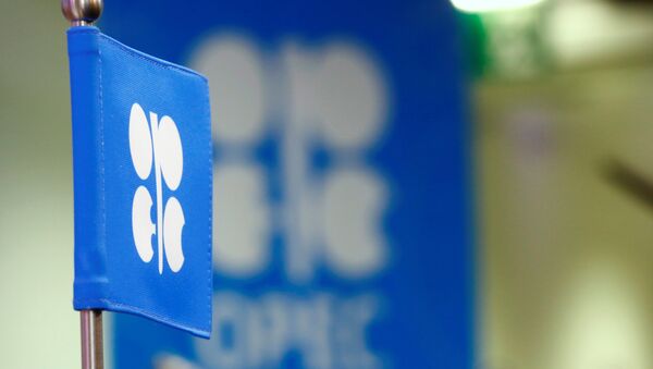 The OPEC flag and the OPEC logo are seen before a news conference in Vienna, Austria, October 24, 2016 - Sputnik International