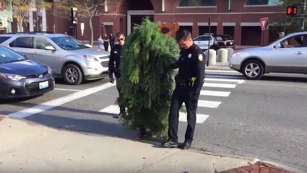Funny Moment, Two Cops Arrest A Tree Blocking the Traffic in Portland - Sputnik International