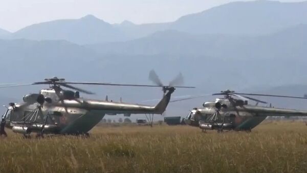 Happy Russian Army Aviation Day! - Sputnik International