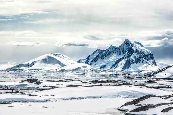 Wild Wonders of Antarctica, Slated for Biggest Marine Reserve - Sputnik International