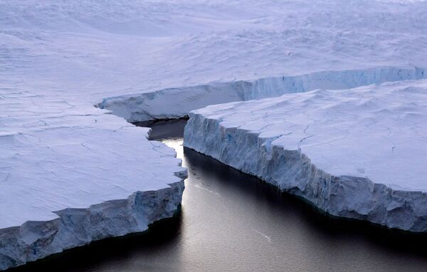 Wild Wonders of Antarctica, Slated for Biggest Marine Reserve - Sputnik International