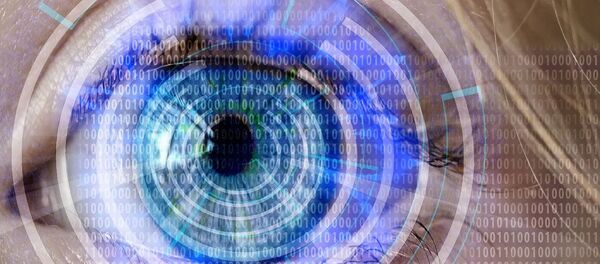 Surveillance - Sputnik International