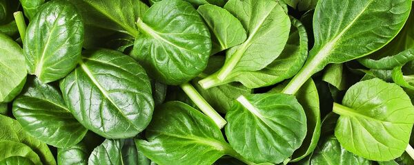 Plants are very environmentally responsive. They know that there is going to be a drought long before we do. They can detect small changes in the properties of soil and water potential. If we tap into those chemical signaling pathways, there is a wealth of information to access, said Professor Strano. Plants are very environmentally responsive. They know that there is going to be a drought long before we do. They can detect small changes in the properties of soil and water potential. If we tap into those chemical signaling pathways, there is a wealth of information to access, said Professor Strano. - Sputnik International