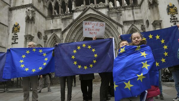 Demonstrators stand outside the High Court during a legal challenge to force the British government to seek parliamentary approval before starting the formal process of leaving the European Union, in London, Britain, October 13, 2016 - Sputnik International