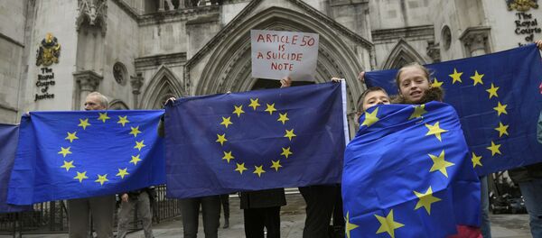 Demonstrators stand outside the High Court during a legal challenge to force the British government to seek parliamentary approval before starting the formal process of leaving the European Union, in London, Britain, October 13, 2016 - Sputnik International