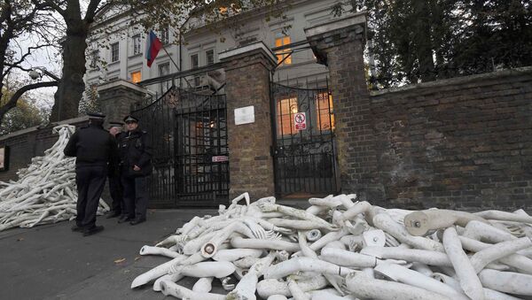 Piles on mannequin limbs are seen outside the Russia's embassy in London as part of a protest against military action in Syria, November 3, 2016. - Sputnik International