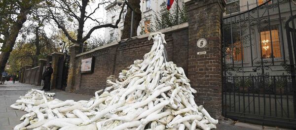 Piles on mannequin limbs are seen outside the Russia's embassy in London as part of a protest against military action in Syria Piles on mannequin limbs are seen outside the Russia's embassy in London as part of a protest against military action in Syria - Sputnik International