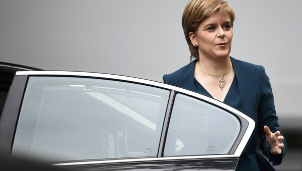 Nicola Sturgeon, First Minister of Scotland smiles as she arrives at Downing Street in London, Britain October 24, 2016. - Sputnik International