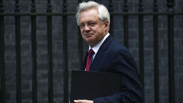 David Davis, Secretary of State for Exiting the European Union arrives at Downing Street in London, Britain October 24, 2016. - Sputnik International