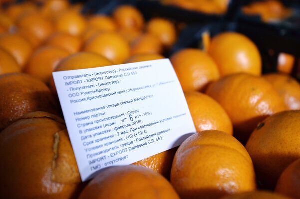 Oranges in the warehouse of Syrian goods in the Food City agricultural cluster in Moscow Oranges in the warehouse of Syrian goods in the Food City agricultural cluster in Moscow - Sputnik International