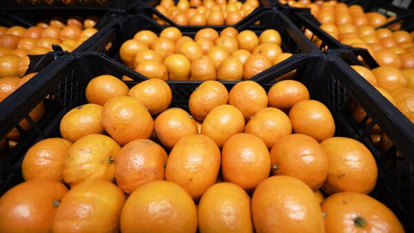 Citrus production - Sputnik International