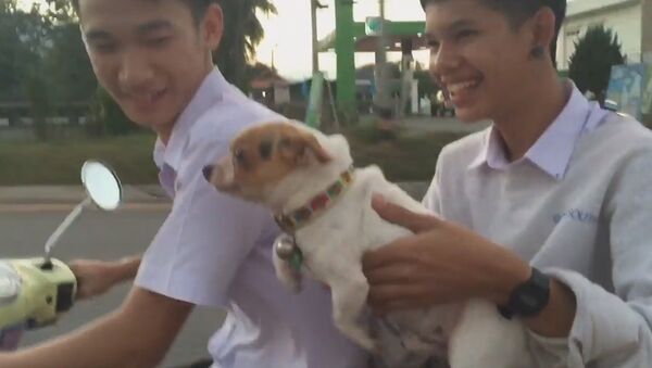 I Can Do This - Sputnik International