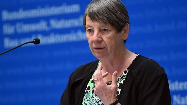 German Environment Minister Barbara Hendricks - Sputnik International