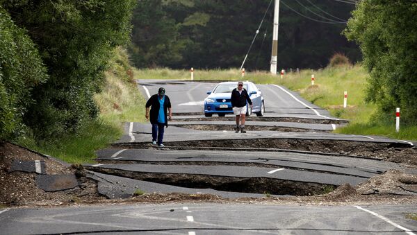 Local residents Chris and Viv Young look at damage caused by an earthquake along State Highway One, south of the township of Blenheim on New Zealand's South Island, November 14, 2016. - Sputnik International