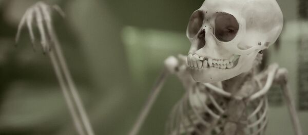 Skeleton - Sputnik International
