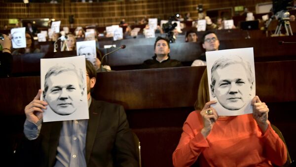 People attend a video conference of WikiLeaks founder Julian Assange at the International Center for Advanced Communication Studies for Latin America (CIESPAL) auditorium in Quito on June 23, 2016. - Sputnik International