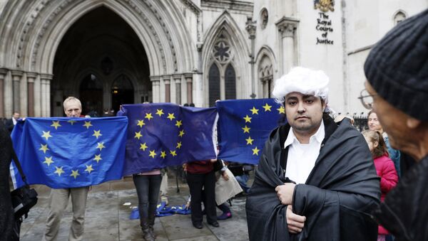 A pro-Brexit supporter (R) from Invoke Article 50 Now!, dressed as a judge, stands in front of Pro-European Union (EU) supporters outside the entrance to The Royal Courts of Justice, Britain's High Court, in London on October 13, 2016, during a protest against the UK's decision to leave the EU. - Sputnik International