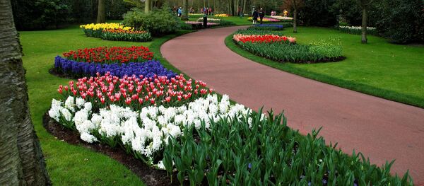 Keukenhof park, Netherlands - Sputnik International