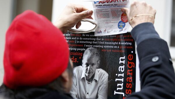 A supporter of Julian Assange holds a poster after prosecutor Ingrid Isgren from Sweden arrived at Ecuador's embassy to interview him in London, Britain, November 14, 2016. - Sputnik International