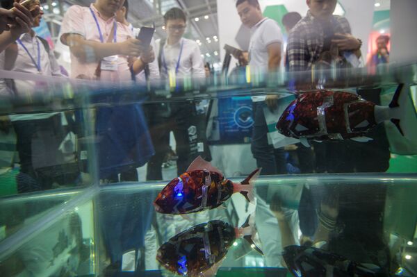 Fish robots swim in a pool during China Hi-Tech Fair in Shenzhen, China, November 16, 2016. Picture taken November 16, 2016 Fish robots swim in a pool during China Hi-Tech Fair in Shenzhen, China, November 16, 2016. Picture taken November 16, 2016 - Sputnik International