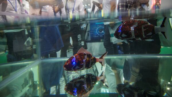 Fish robots swim in a pool during China Hi-Tech Fair in Shenzhen, China, November 16, 2016. Picture taken November 16, 2016 - Sputnik International
