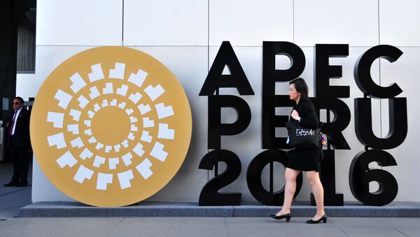 A woman walks by an APEC logo outside the Lima Convention Centre, during the Asia-Pacific Economic Cooperation (APEC) Summit on November 17, 2016 in Lima - Sputnik International