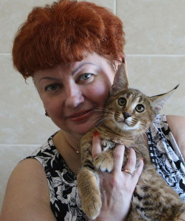 Three-month-old Ginny the caracat with its owner Inna Dombrovskaya Three-month-old Ginny the caracat with its owner Inna Dombrovskaya - Sputnik International